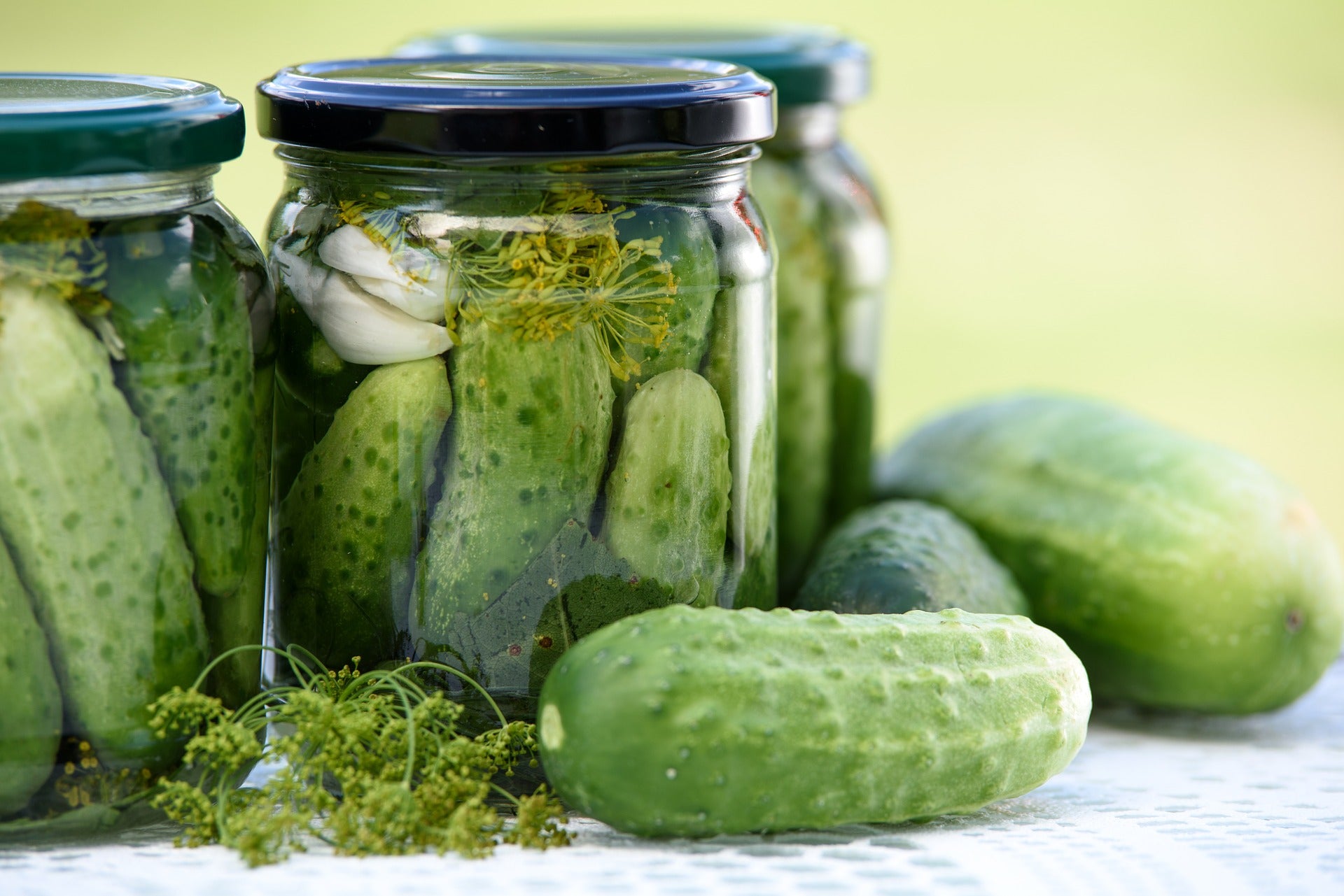Pickles + Ferments