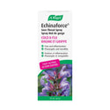 A. Vogel Echinaforce Throat Spray 30ml