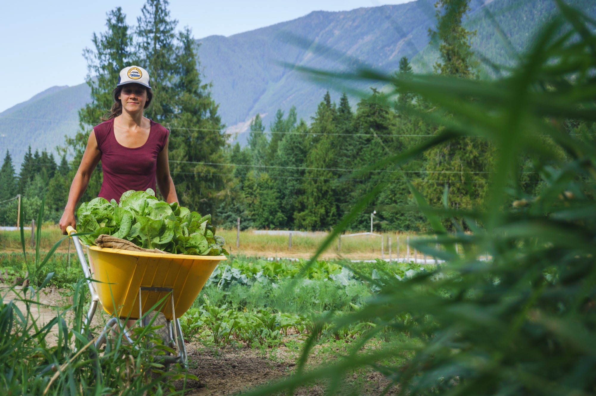 true local produce now in season