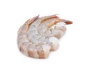 Pacific White Shrimp 454g