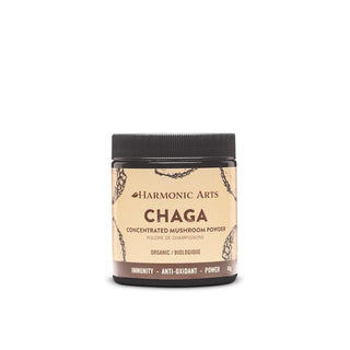 Chaga  Organic 45g