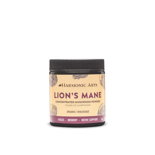 Harmonic Arts Lion's Mane Concetrated Extract Organic (45g/100g)