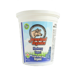 Jerseyland Organics Blueberry Yogurt Organic 750g