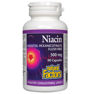Natural Factors Niacin No Flush 500mg 90c