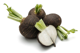 Organic Produce Black Spanish Radish ~400g ~400g