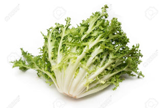 Argenta Gardens Curly Endive ~750g ~750g