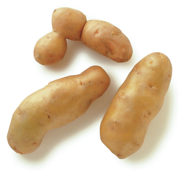 Organic Produce Fingerling Potatoes ~580g ~580g