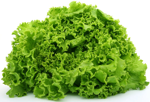 Organic Produce Green Leaf Lettuce ~325g ~325g
