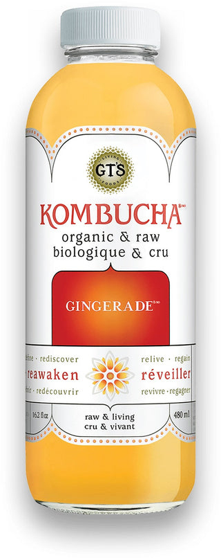 GT's Living Foods Gingerade Organic Raw Kombucha (480ml/1.4L)