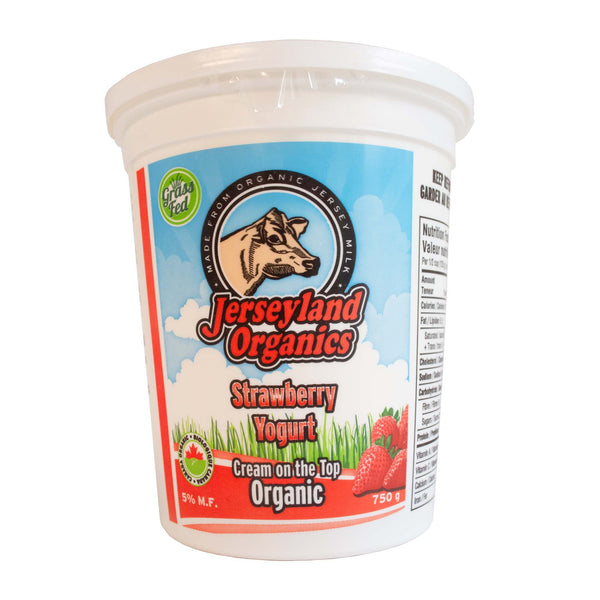 Jerseyland Organics Strawberry Yogurt Organic 750g