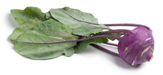 Organic Produce Kohlrabi KG KG