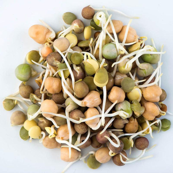 Meadowbrook Farm 5 Bean mix Sprouts 112g 112g