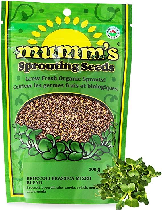 Mumm's Sprouting Seeds Broccoli Brassica Organic 100g