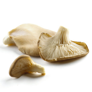 Organic Produce Oyster Mushrooms ~280g ~280g