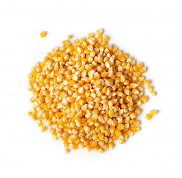 Kootenay Co op Bulk Popcorn Yellow Organic 1.5kg