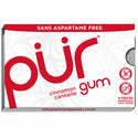 Pur Cinnamon Gum (9pc/55pc)