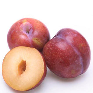 Organic Produce Red Plums ~350g ~350g