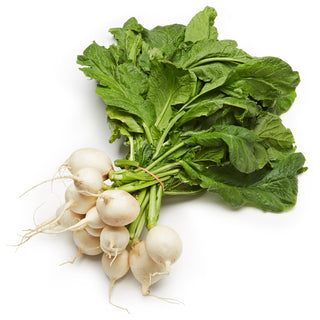 Crooked Horn Farm White Salad Turnips Bunch EA