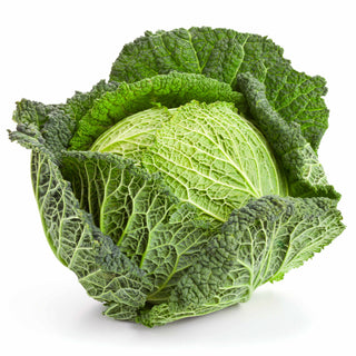Organic Produce Savoy Cabbage ~1kg ~1kg