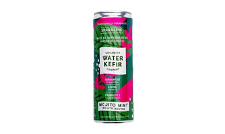 Squamish Water Kefir Mint Probiotic Soda 355ml